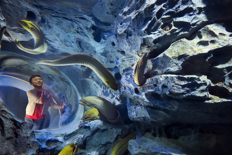 Singapore, Marine Life Park